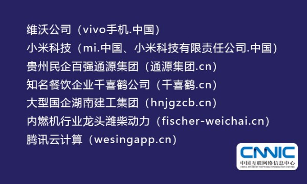 小米、维沃等知名企业启用“.CN”“.中国”域名——国家顶级域名再添一批重要新用户